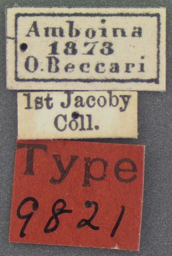Media type: image; Entomology 9821   Aspect: labels
